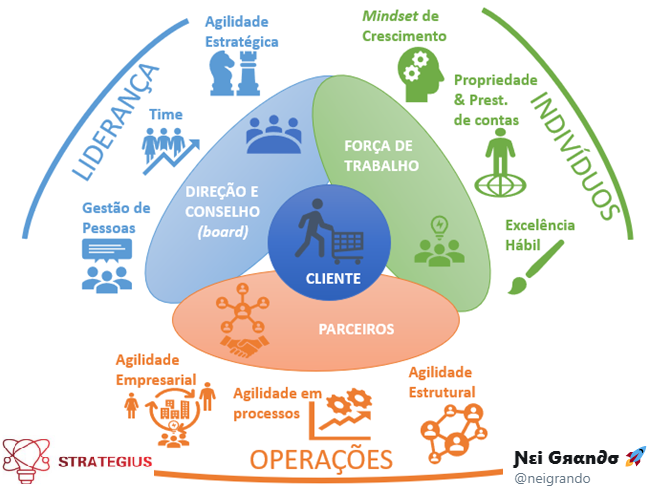 Dimensões e Domínios em torno do Cliente - artigo